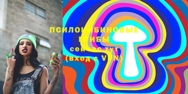 амф Абинск